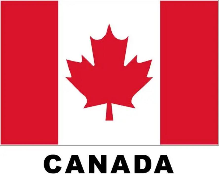 武汉代办加拿大签证 加拿大出国签证办理 专业正规签证公司